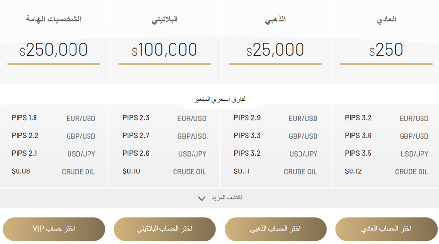 تقدم شركة Investous من خلال رافعة مالية تصل إلى 1:500 أربع أنواع من حسابات التداول الحقيقية